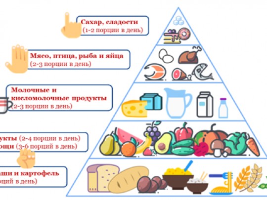 Культура питания — один из важнейших компонентов здорового образа жизни