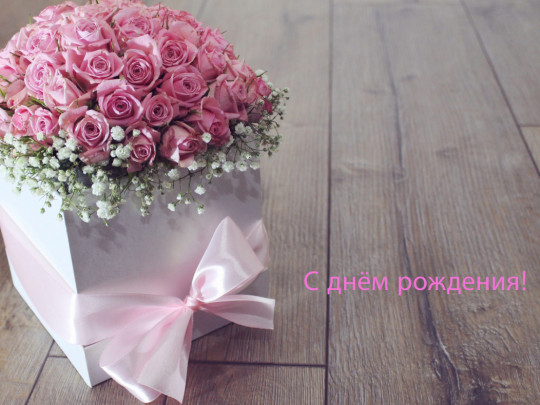 Сегодня празднует день рождения Светлана Валентиновна Двуреченская