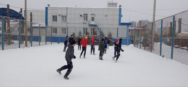 5379838441580858245 5379838441580858245