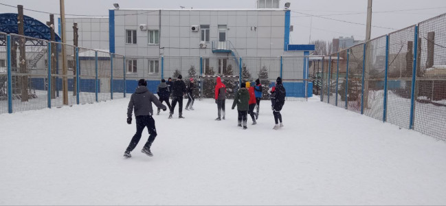 5379838441580858246 5379838441580858246